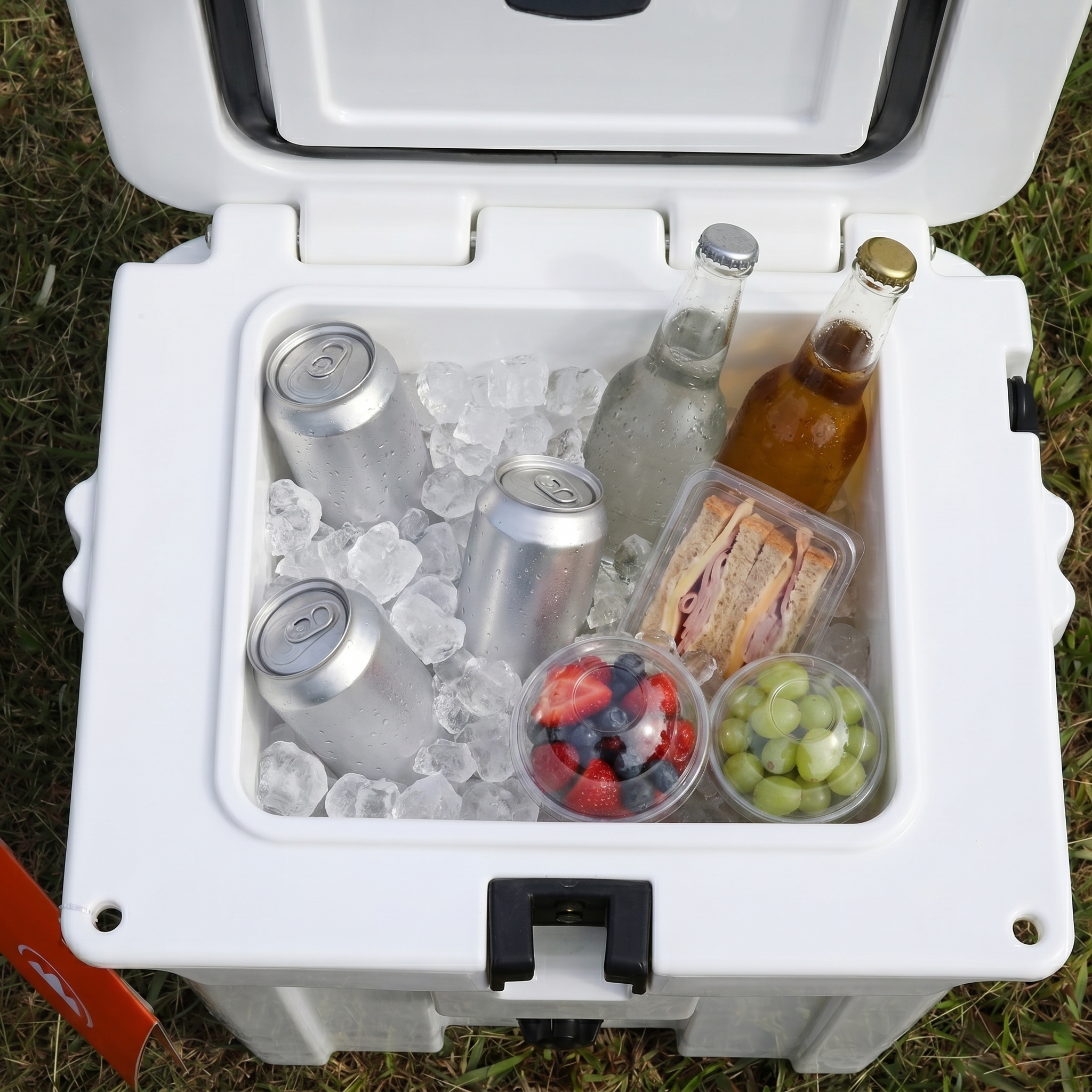 Forteza Cooler S10